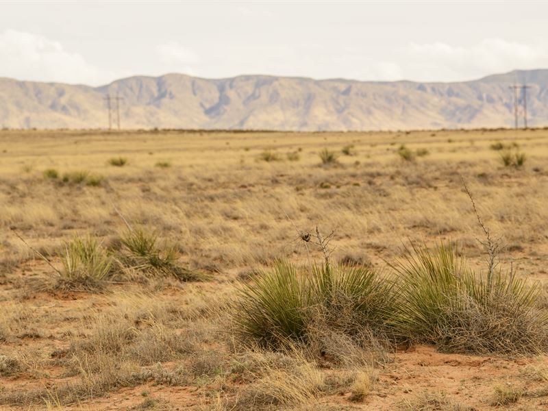 Rare Lot Near City Power : Belen : Valencia County : New Mexico