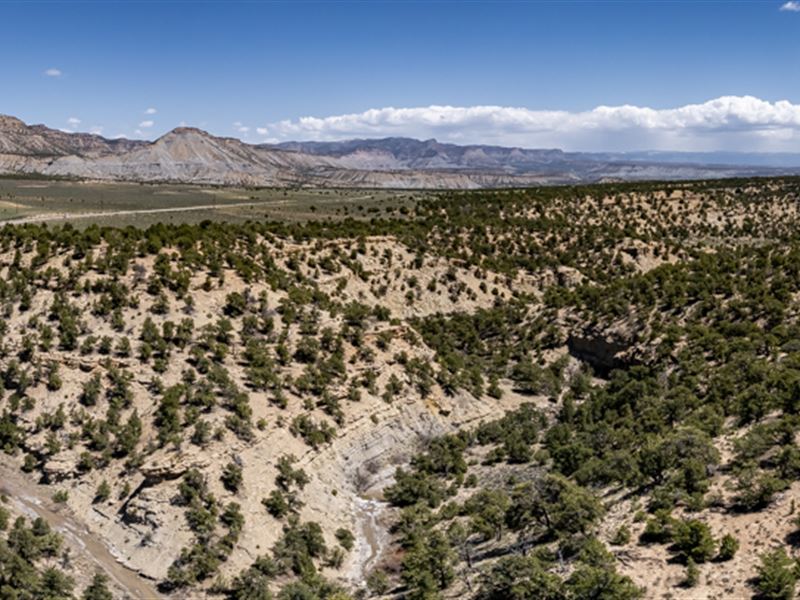 Yellow Baron Ranch : Helper : Carbon County : Utah