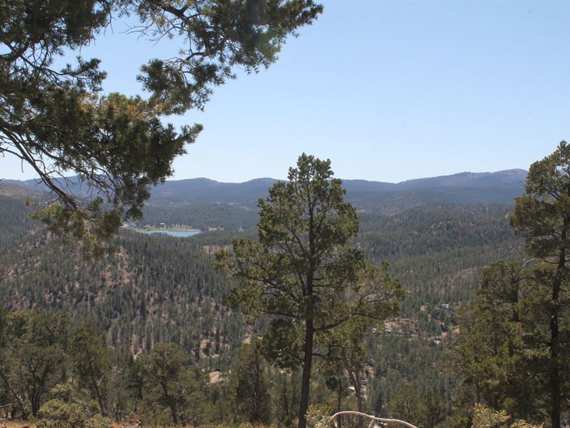 High On a Mountain : Ruidoso : Lincoln County : New Mexico