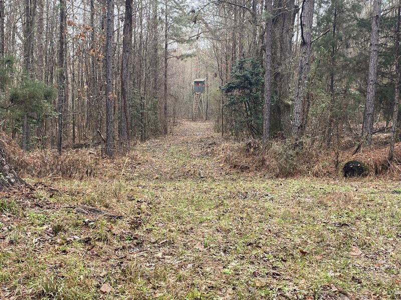 1 Claiborne Parish 40 : Summerfield : Claiborne Parish : Louisiana