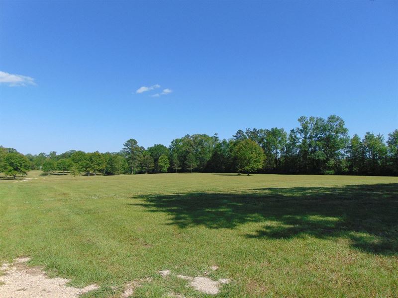 Ready to Get Away : Franklinton : Washington Parish : Louisiana