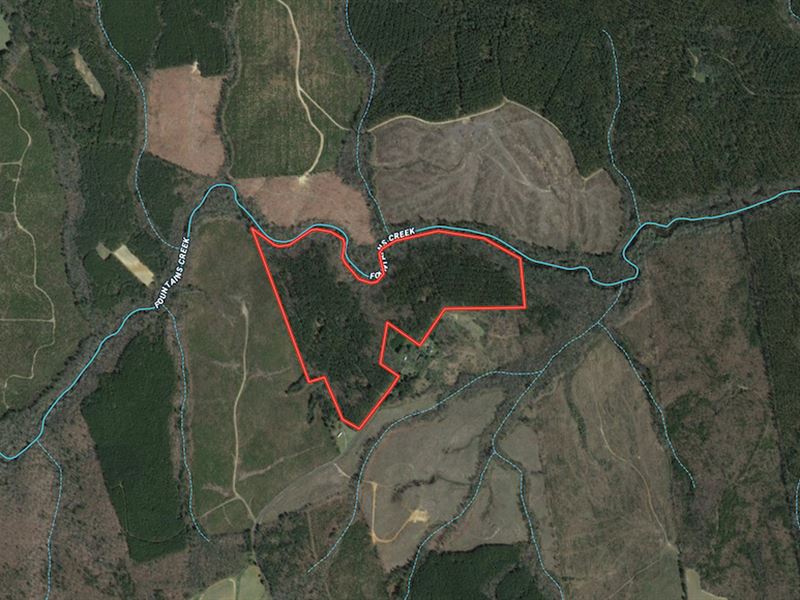 70 Acres of Hunti : Emporia : Greensville County : Virginia