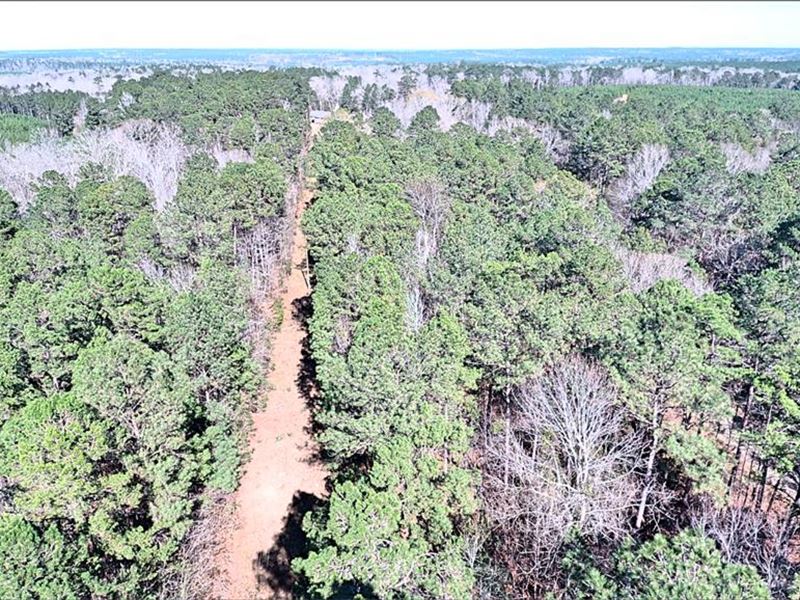 11 Ac M/L Bill Lofton Road : McCall Creek : Franklin County : Mississippi