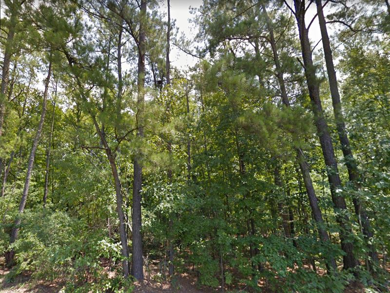 Peaceful Countryside Lot : Windsor : Aiken County : South Carolina