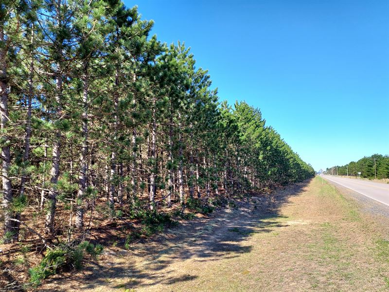 9.1 Acres in Jackson County : Millston : Jackson County : Wisconsin