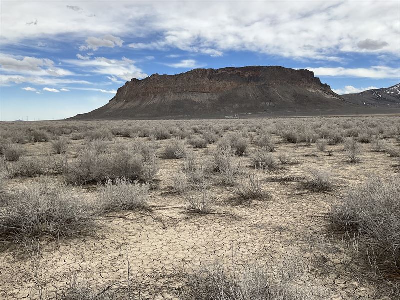 40 Ac of NV Sunshine and Mountains : Montello : Elko County : Nevada