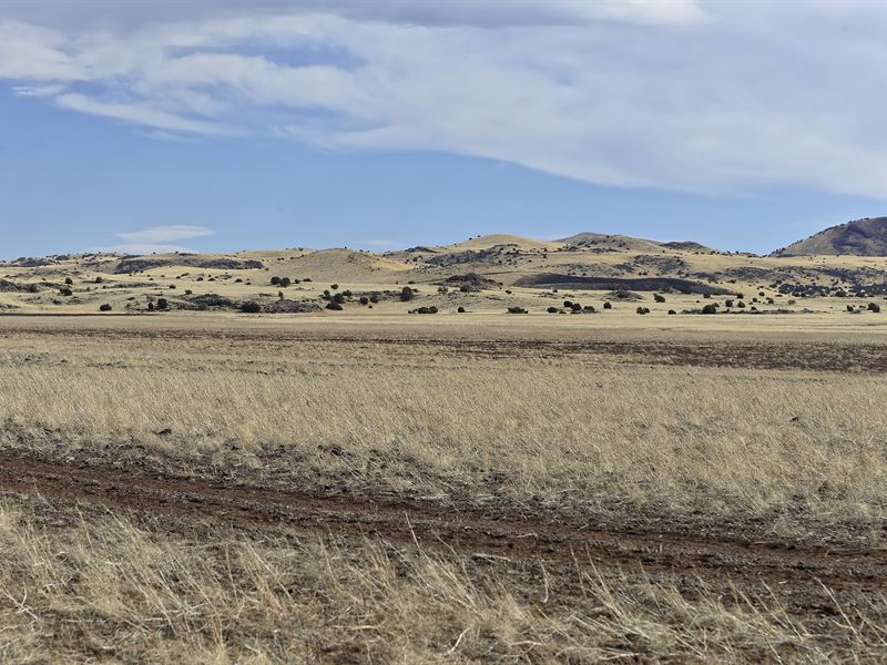 Go Off Grid : Concho : Apache County : Arizona
