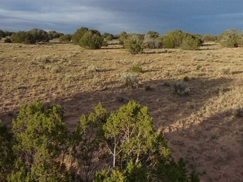 2.5 Acres of Land in Apache County : Sanders Unified District : Apache County : Arizona
