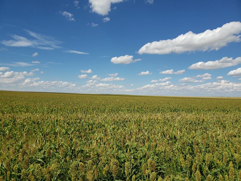 Borders Farms 2 : Arriba : Lincoln County : Colorado