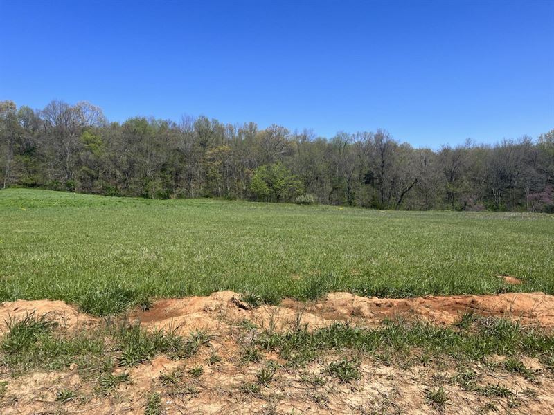 Green Acres Tract 3 : Fredericktown : Madison County : Missouri