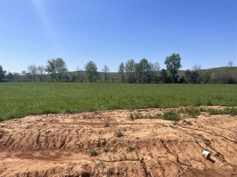 Green Acres Tract 11 : Fredericktown : Madison County : Missouri