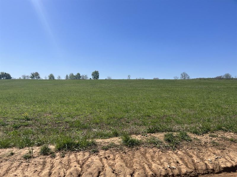 Green Acres Tract 17 : Fredericktown : Madison County : Missouri