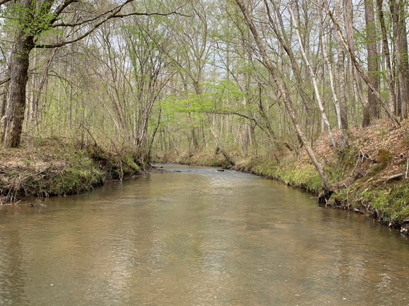 Little Buffalo Creek Tract : Sparta : Hancock County : Georgia