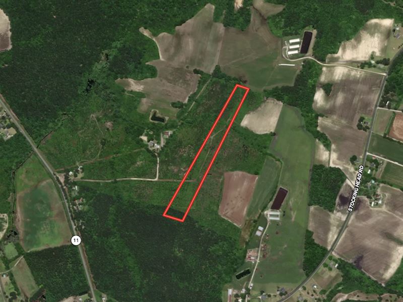 12.27 Acres of Ti : Rose Hill : Duplin County : North Carolina