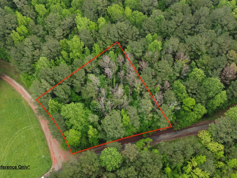 .66 Acre Lot Coweta Co, GA : Grantville : Coweta County : Georgia