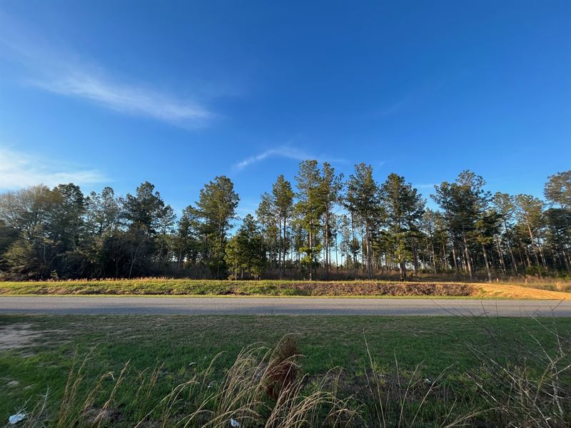 Old Three Notch Road Tract : Brantley : Crenshaw County : Alabama