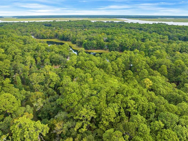 50K Sqft on Daufuskie Island, SC : Daufuskie Island : Beaufort County : South Carolina