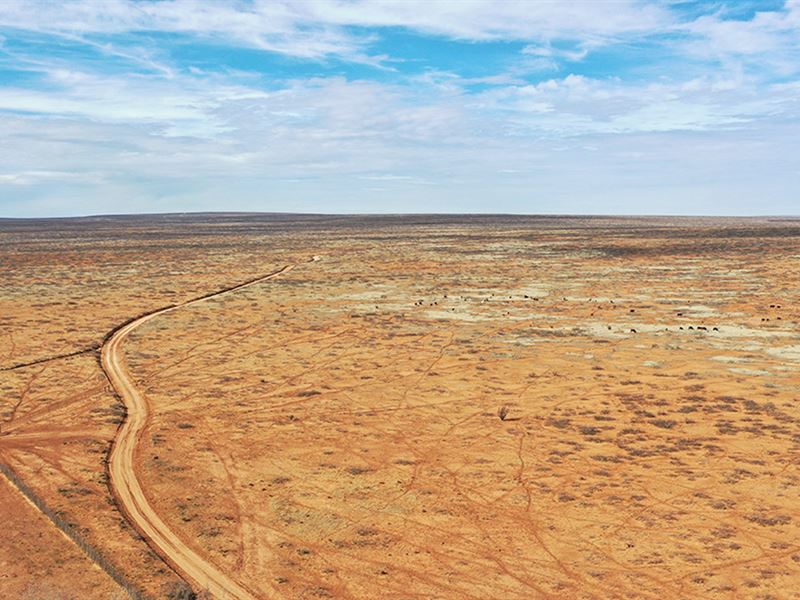 3484K Sqft in Roswell, NM : Roswell : Chaves County : New Mexico