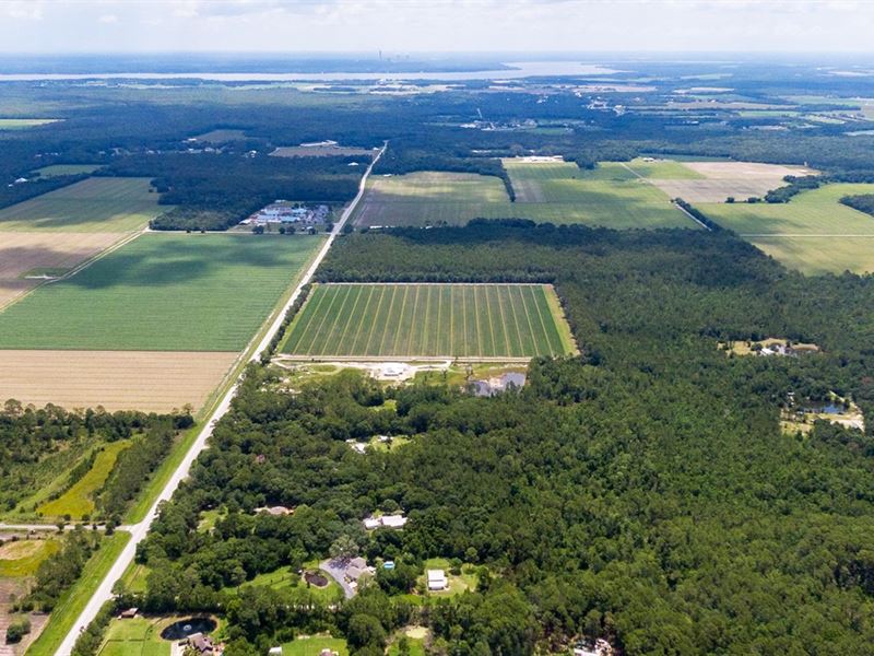 49K Sqft in Bunnell, FL : Bunnell : Flagler County : Florida