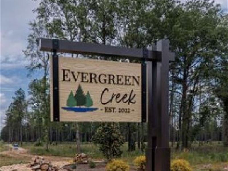 31 Residential Lots, Cochran, GA : Cochran : Bleckley County : Georgia