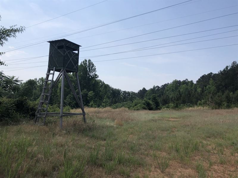 Long 186 Tract : Lilesville : Anson County : North Carolina