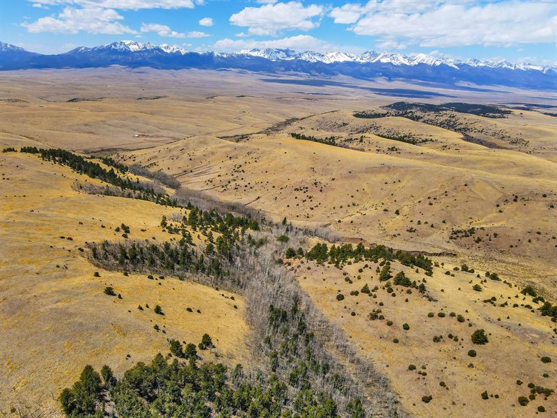 233.11 Acres in Westcliffe, Colorado : Westcliffe : Custer County : Colorado