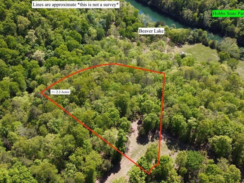 Mule Lot Home Site 2.2 : Rogers : Benton County : Arkansas