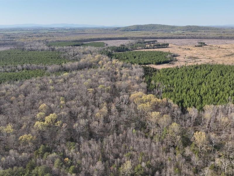 43 Acres in Culpeper County, VA : Culpeper : Culpeper County : Virginia