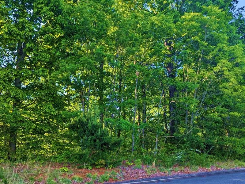 Secure Your 0.49 Dream Lot in AR : Bella Vista : Benton County : Arkansas