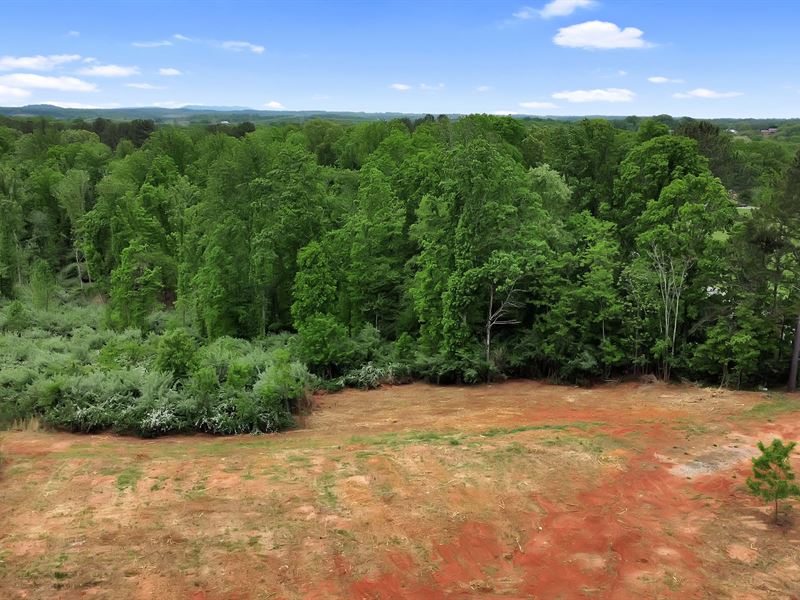 24.4 Acres of Rural Seclusion : Bedford : Bedford County : Virginia