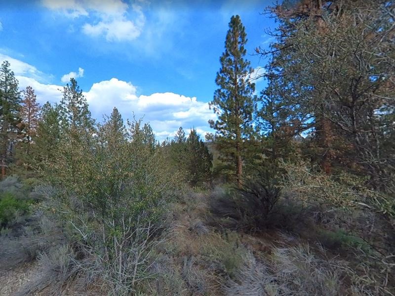 Live The Dream in Klamath County : Beatty : Klamath County : Oregon