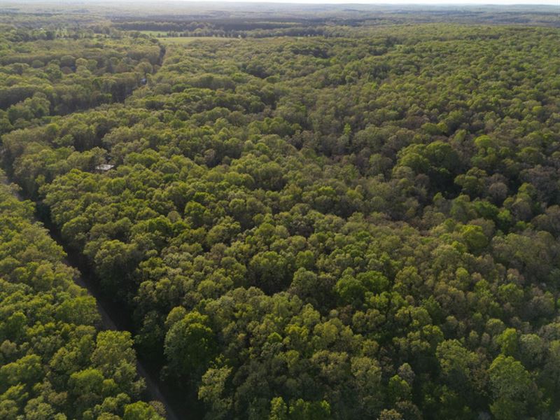 3 Ac Homesite Land : Cadet : Washington County : Missouri