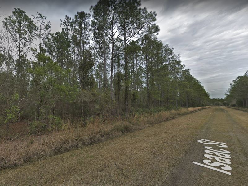 1.14 Acres for Sale in Hastings, FL : Hastings : Saint Johns County : Florida