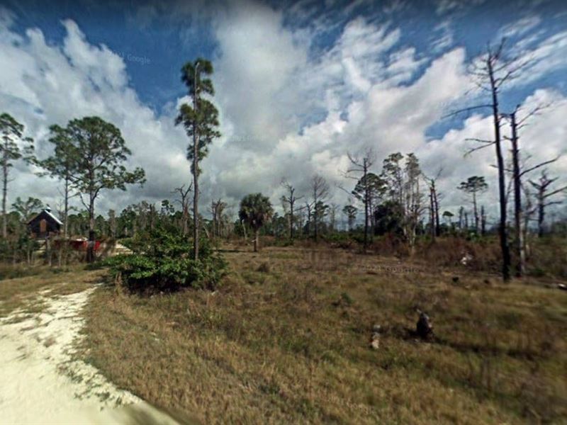 Explore Nature & Enjoy The Beach : Punta Gorda : Charlotte County : Florida