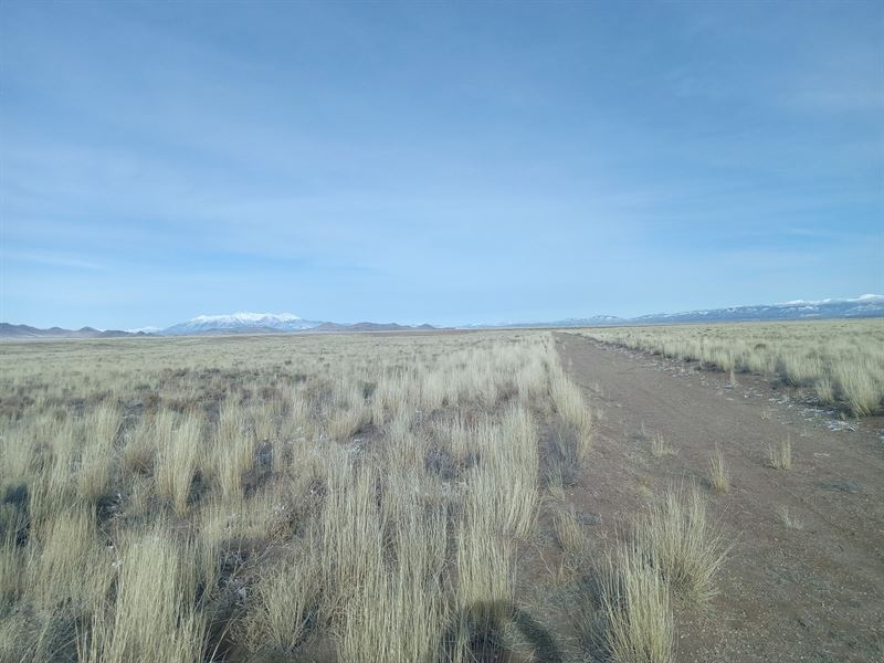 Your Future 5 Acre Property $180/Mo : San Luis : Costilla County : Colorado