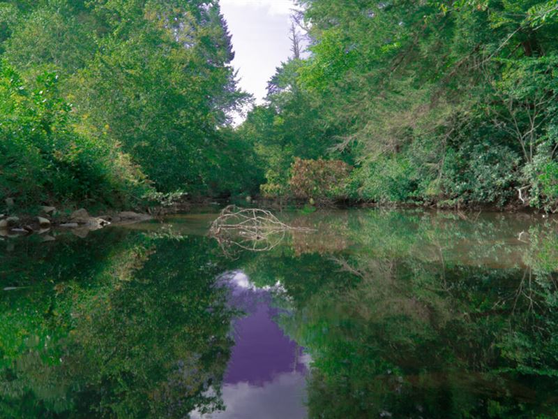 Land on Indian Creek : Whitley City : McCreary County : Kentucky