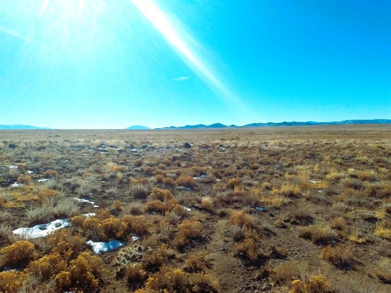 Dazzling Views & Abundant Wildlife : Blanca : Costilla County : Colorado