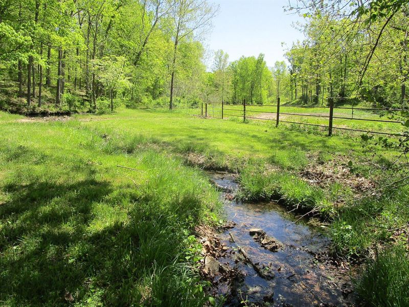Horse or Cattle Farm in MO : Winona : Shannon County : Missouri