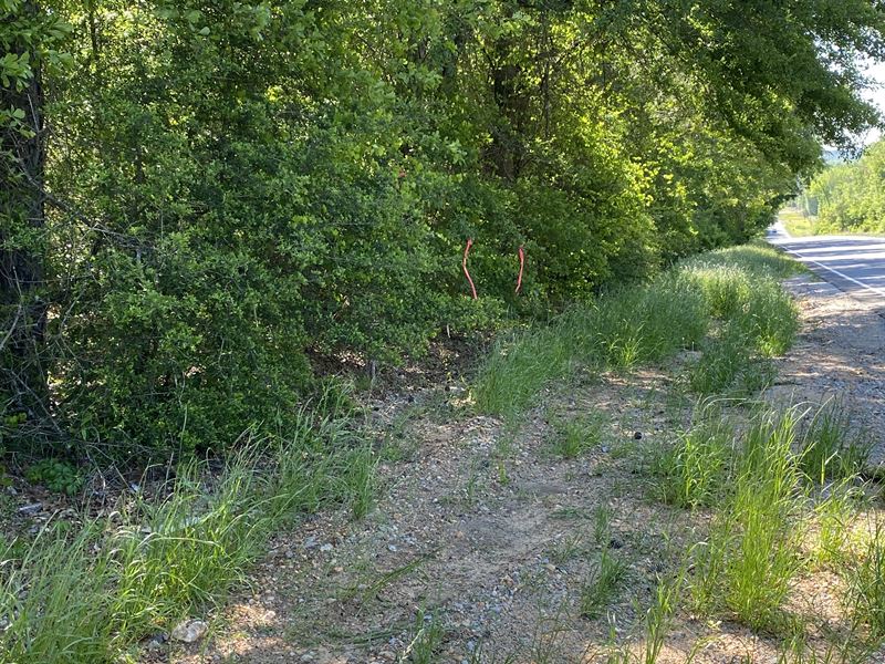 Autauga County, 32 Acres : Prattville : Autauga County : Alabama