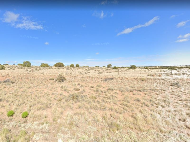 Slice of Paradise in Az, $150/Mo : Sanders Unified District : Apache County : Arizona
