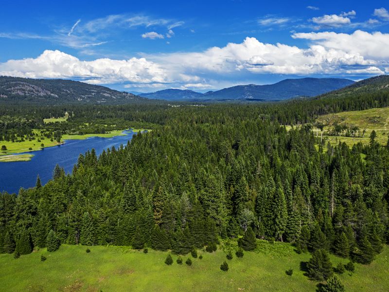 Parcel 2 Wildberry Ln : Sagle : Bonner County : Idaho