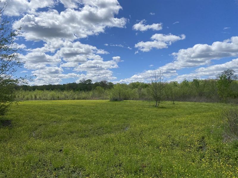 74 Acres in Columbus, Mississippi : Columbus : Lowndes County : Mississippi
