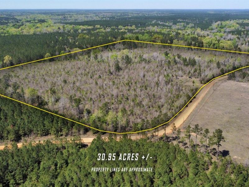 Bayou Bourbe Tract, Grant Parish, 3 : Verda : Grant Parish : Louisiana