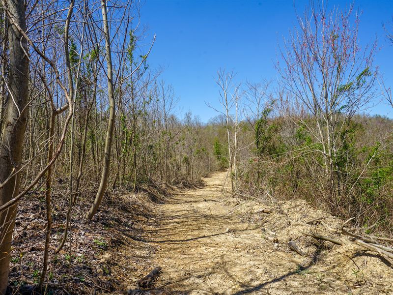 Thompsonville Rd 60.25 Ac, Lot 1 : Wilkesville : Vinton County : Ohio