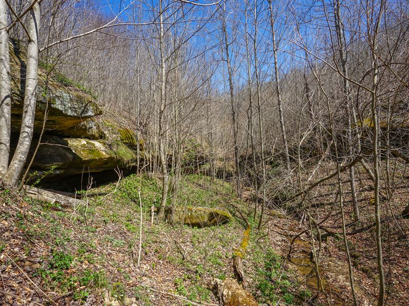 Rocky Steep Rd 26.494 Ac, Lot 9 : Wilkesville : Vinton County : Ohio