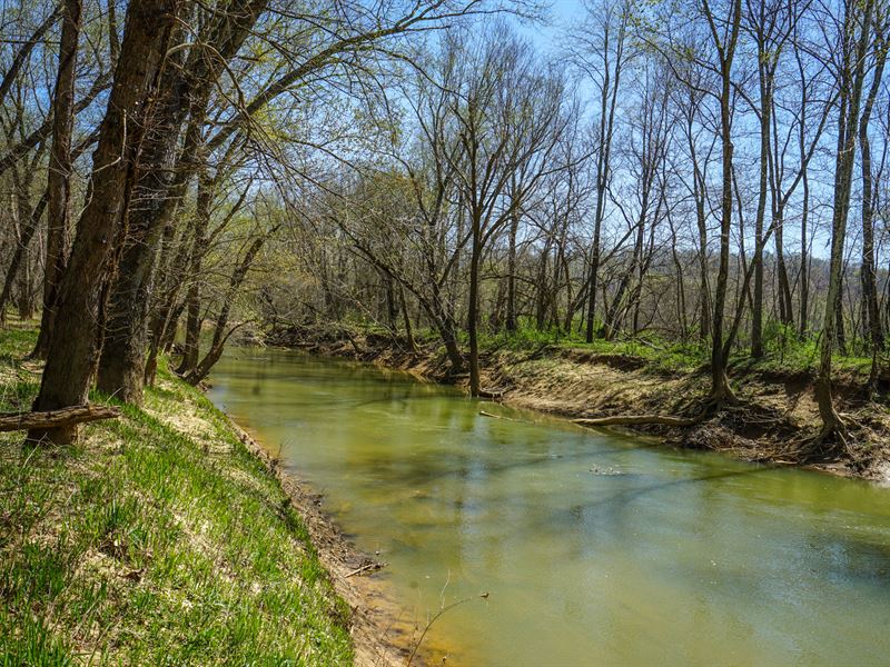 Hawks Station Rd 20.503 Ac, Lot 5 : Wilkesville : Vinton County : Ohio