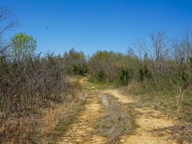 Hawks Station Rd 70.036 Ac, Lot 6 : Wilkesville : Vinton County : Ohio