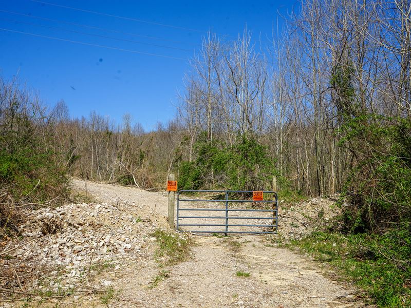 Hawks Station Rd 88.352 Ac, Lot 7 : Wilkesville : Vinton County : Ohio