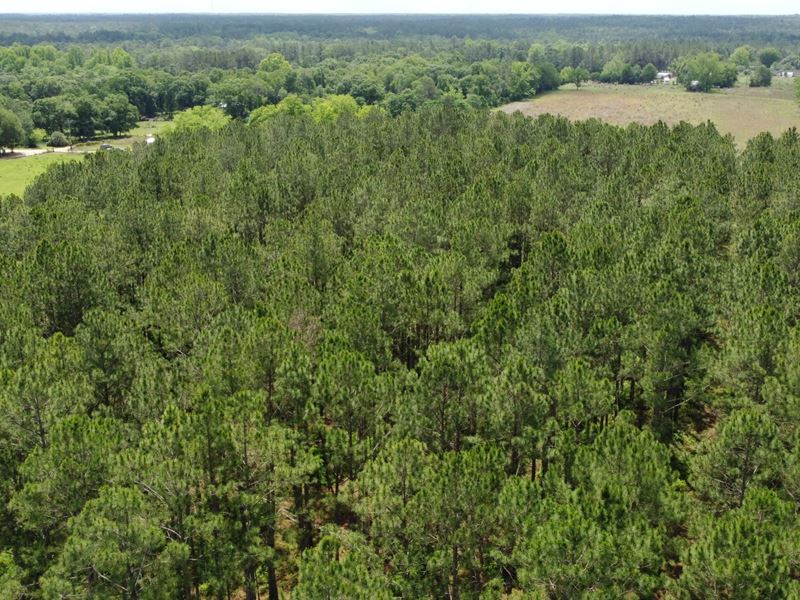 Goose Creek 50 : Jesup : Wayne County : Georgia