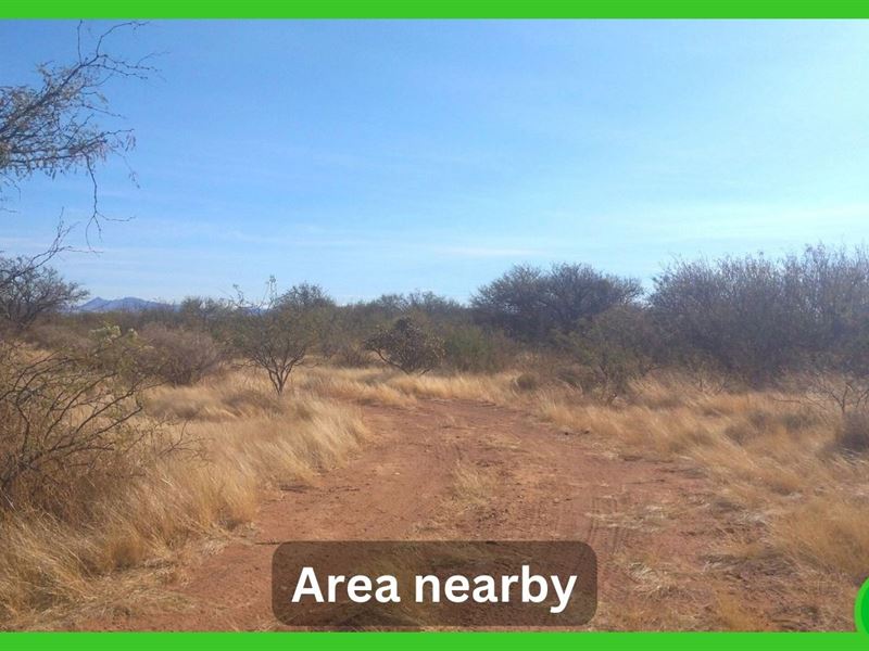 2.09 Acre Property in Bisbee, AZ : Bisbee : Cochise County : Arizona
